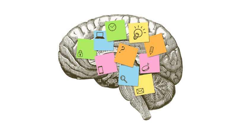 Cerebro y bienestar mental